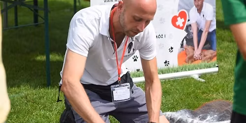 Kurs Pierwsza Pomoc & RKO dla ps\u00f3w \ud83d\udc36