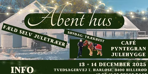 \ud83c\udf84\u00c5bent hus & F\u00e6ld selv juletr\u00e6er\ud83c\udf84 - Ninas juletr\u00e6splantage