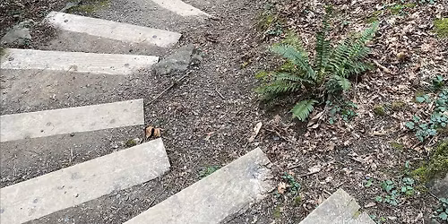 Earth Day Urban Hillside Nature Hike