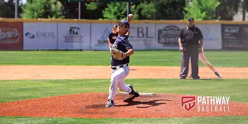 Pathway Wood Bat Classic