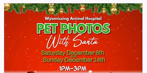 Pet Photos With Santa 
