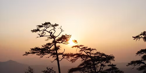 21-22 \u0e21\u0e35\u0e04 69 \u0e14\u0e2d\u0e22\u0e2b\u0e31\u0e27\u0e40\u0e2a\u0e37\u0e2d \u0e40\u0e0a\u0e35\u0e22\u0e07\u0e43\u0e2b\u0e21\u0e48