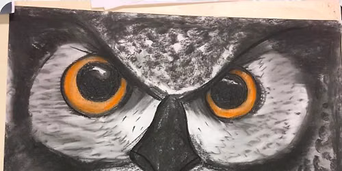 Charcoal Drawing Class: Owl