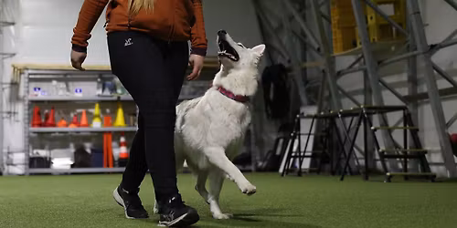 Offisielt LP stevne for alle klasser (innend\u00f8rs), arr. Lillehammer BHK