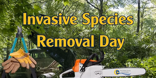 Invasive Species Removal Day