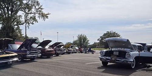 Cruise in 