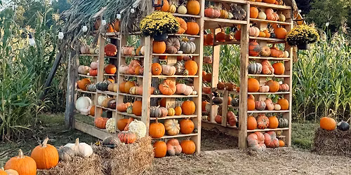 Creekside Acres Pumpkin Smash