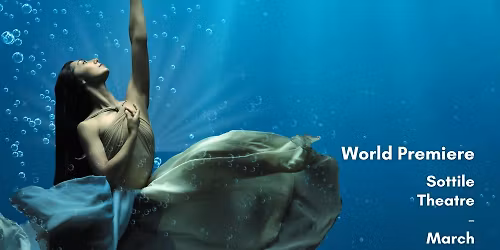 The Little Mermaid by Palmetto City Ballet | Charleston, SC