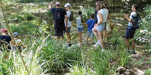 Visite guid\u00e9e : sur les traces des loutres \u00e0 Montpellier