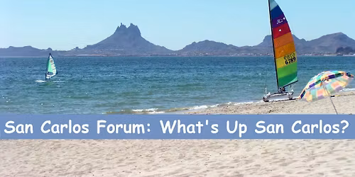 Club Deportivo BBQ Rib Dinner