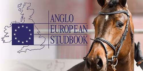 AES Stallion Grading