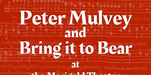 Peter Mulvey | Bring It To Bear