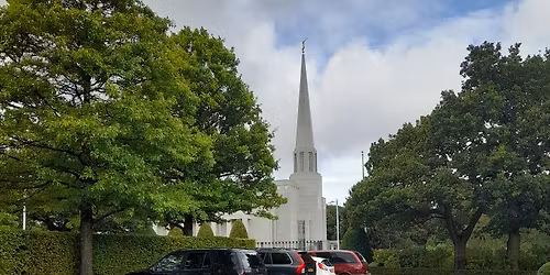 Christmas Preston Temple Trip for all Singles \ud83c\udf84