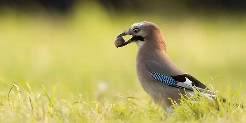 3de Meetjeslandse Natuurstudiedag