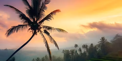 36th Nai Lert Flower & Garden Art Fair 2025 \u2014 The Garden of Tomorrow