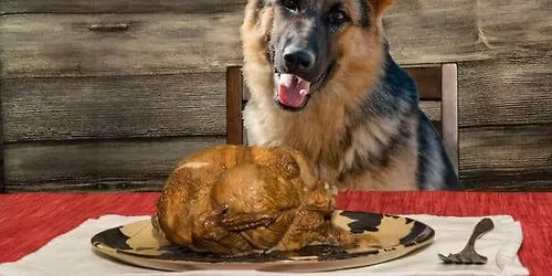 THANKSgiving Potluck Dinner