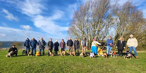 Midlands (Grafham Water) Bulldog Walk for GBSR UK