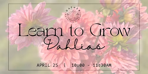 Learn to Grow Dahlias