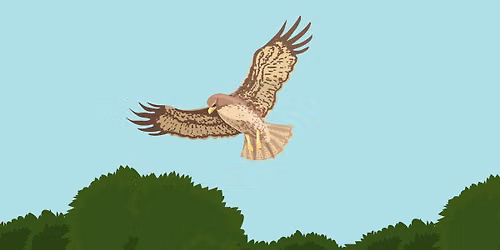 Birding Walks with Master Naturalist Lily Glaeser & Indigo Nathani - Green Earth Oakland Nature Pres