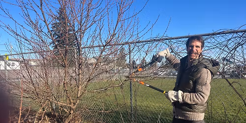 Work Party: Fruit Tree Pruning + care at  Food Forests in SEED