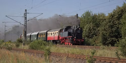 Dampfzugsonderfahrt zum Dieburger Martinsmarkt