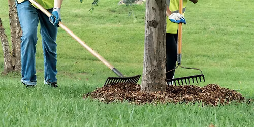 Community Tree Care and Training: Catholic University of America