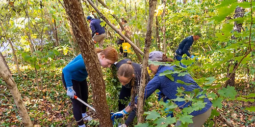 Horticulture Volunteer Days