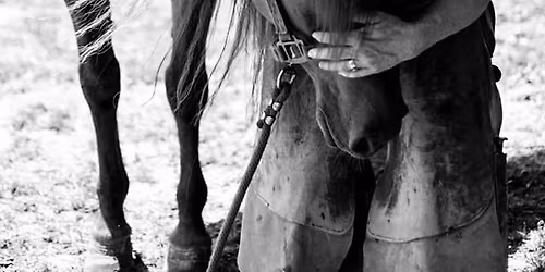 Beginner Hoof trimming class