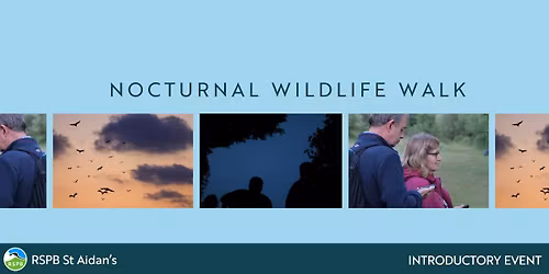 Nocturnal Wildlife Walk- RSPB St Aidan's