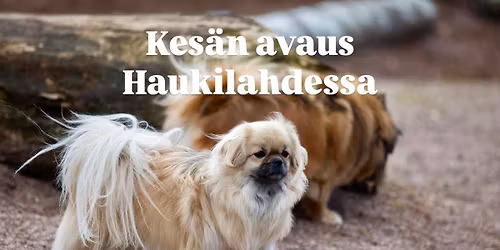 Haukilahti terassitreffit & yhteisk\u00e4vely & koiraranta