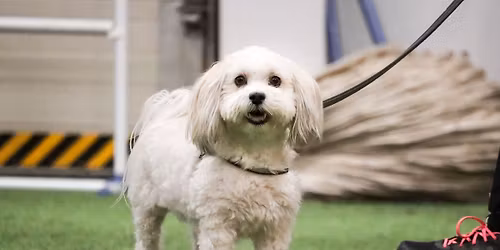 RALLY-TOKO m\u00f6llikisat 6.4.2026