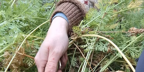 Kurs: Planlegg kj\u00f8kkenhagen din