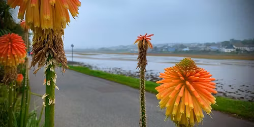 Walk Talk Kernow - King George V Memorial Walk