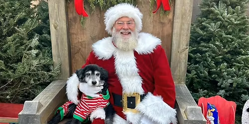 Santa Paws
