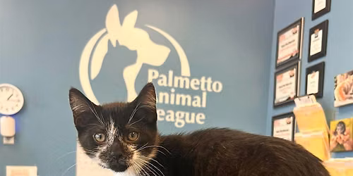 The Archer Family Presents the Fur Ball for Palmetto Animal League
