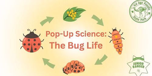 Pop-Up Science: The Bug Life