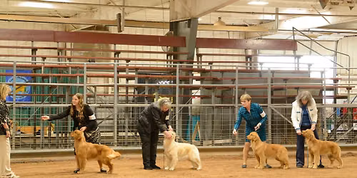 COGRC Annual Specialty and All Breed Obedience\/Rally Shows