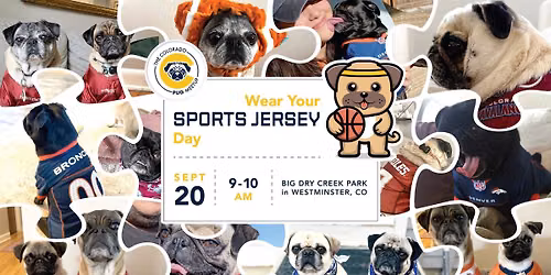September Pug Meetup: Sports Day - Wear Your Sports Jersey \ud83c\udfc8\u26bd\ud83c\udfc0\u26be