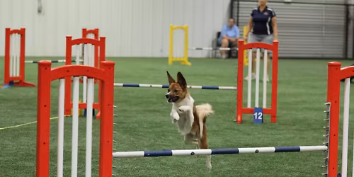TAG Foundations Series Intro to Agility