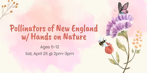 Pollinators of New England w\/ Hands on Nature (ages 5-12)