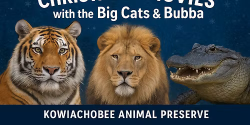 Christmas Movies with the Big Cats & Bubba
