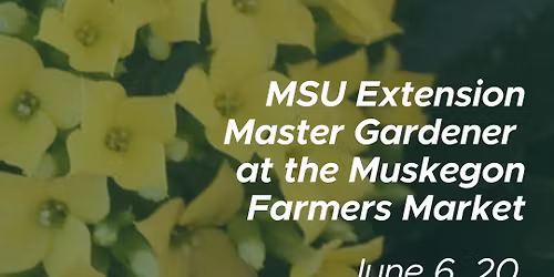 Master Gardener - MS Extension