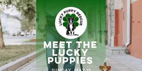 NY- Pet Fest: Meet the Lucky Puppies