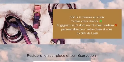 Du fun avec mon chien \ud83d\udc36 