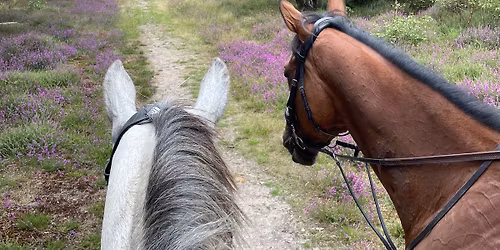 Waveney Harriers May Ride