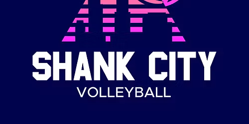 Coed Shorty, Vol. 3: Coed 2s Grass Volleyball Tournament