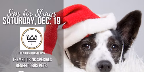 Sips for Strays