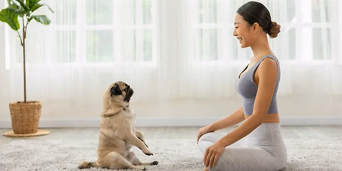 Free Class: Therapy Dogs & Meditation