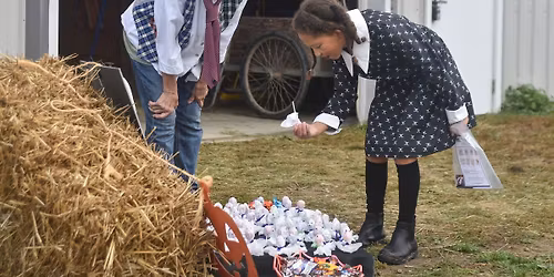 SMILES Fall Festival
