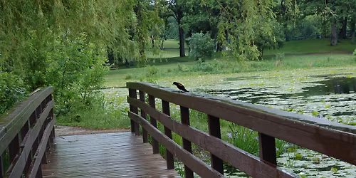 Thursday Sketch-4\/16- Veteran's Acres Park, Pond section-Crystal Lake